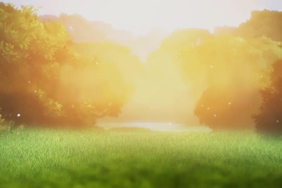 ภาพฟีเจอร์ Tree Of Fortune ลำดับที่ 7