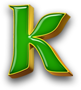 สัญลักษณ์หลัก 4 ในเกม Tree Of Fortune