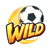 Wild ในเกม Shaolin Soccer
