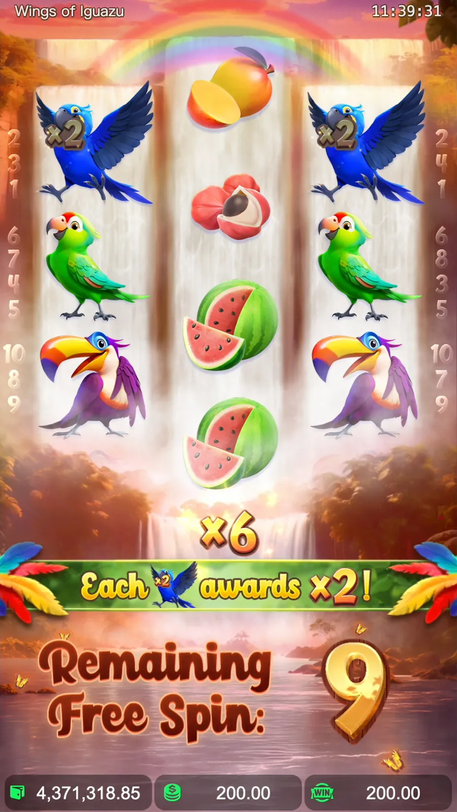 ภาพฟีเจอร์ Wings of Iguazu ลำดับที่ 2