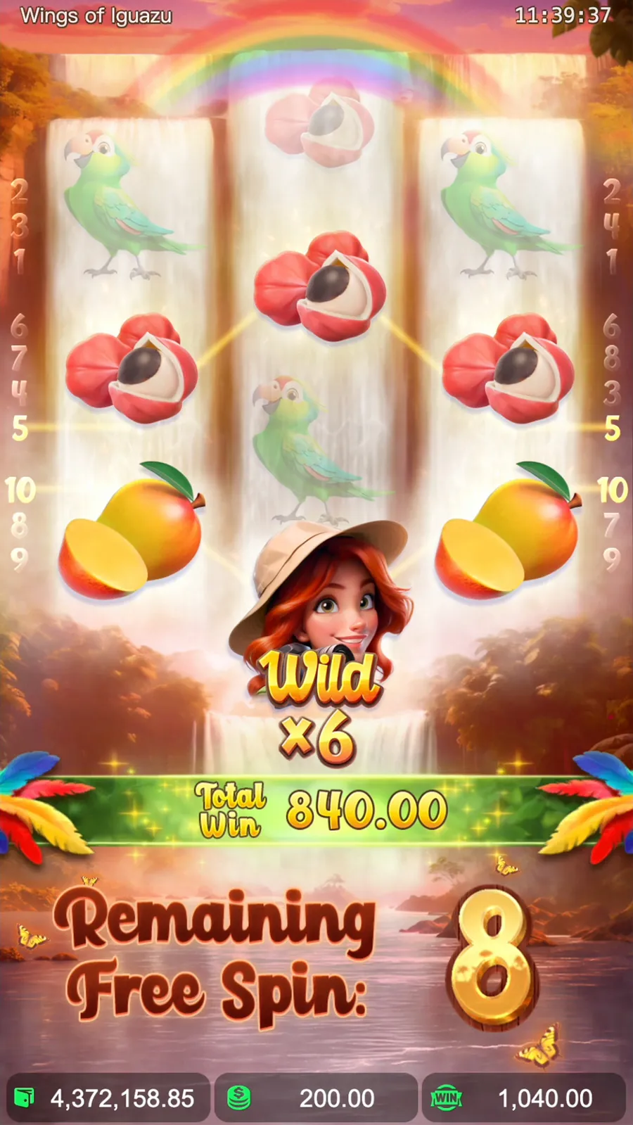 ภาพฟีเจอร์ Wings of Iguazu ลำดับที่ 3